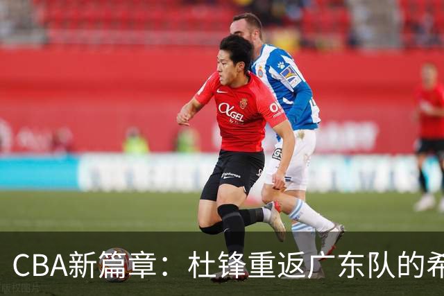 CBA新篇章：杜锋重返广东队的希望几近破灭